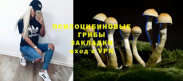 амф Беломорск