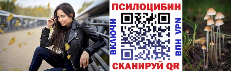 shop Telegram  Кяхта  Псилоцибиновые грибы прущие грибы 
